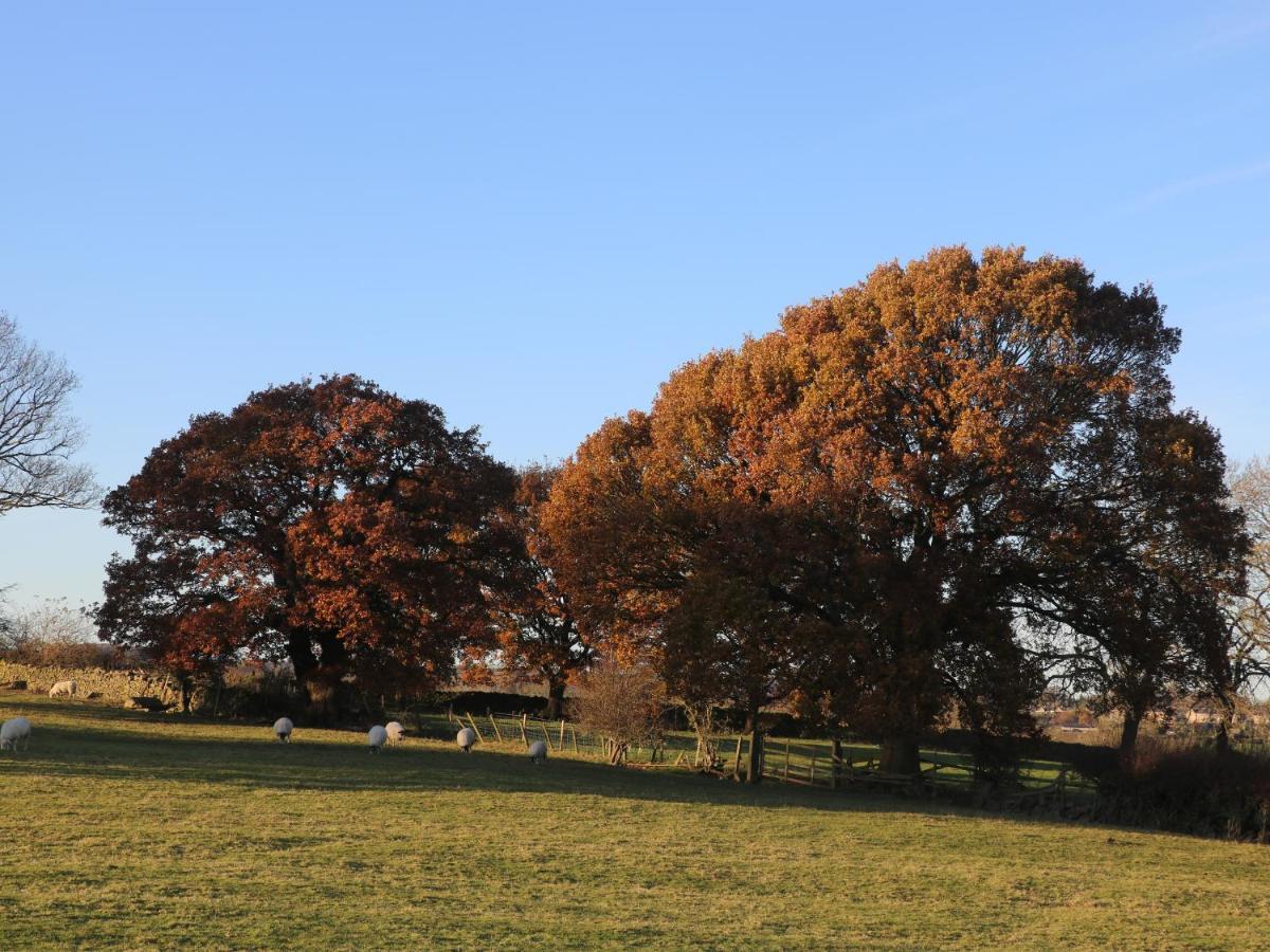 7 Scarah Bank Cottages Ripley  Esterno foto